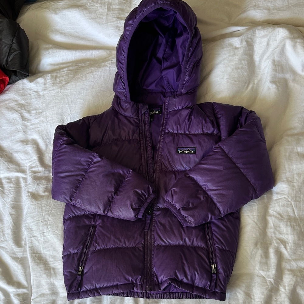 Patagonia Deep Purple Hooded Jacket